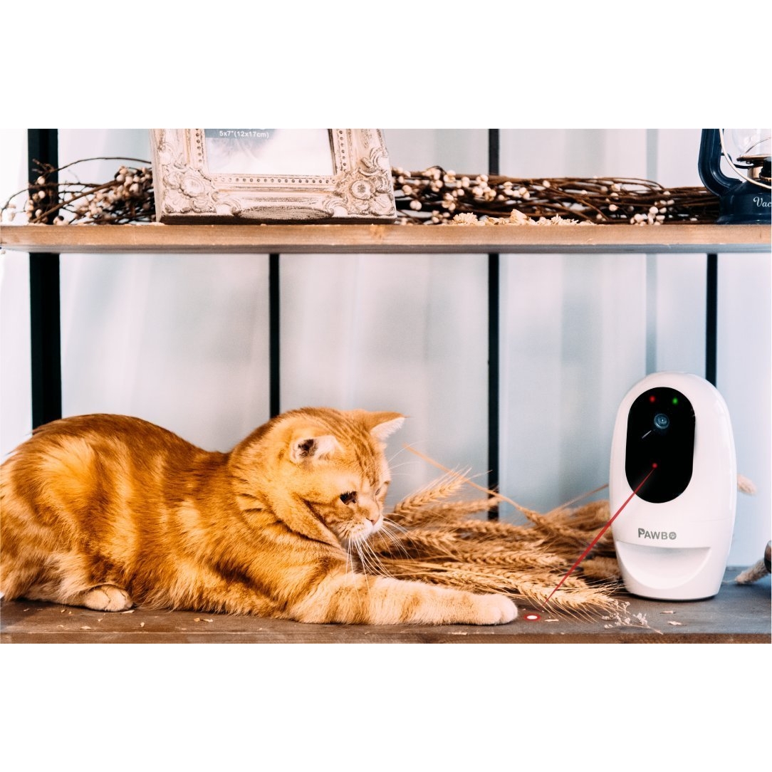Pawbo Life WiFi Evcil Hayvan Kamerası 7928