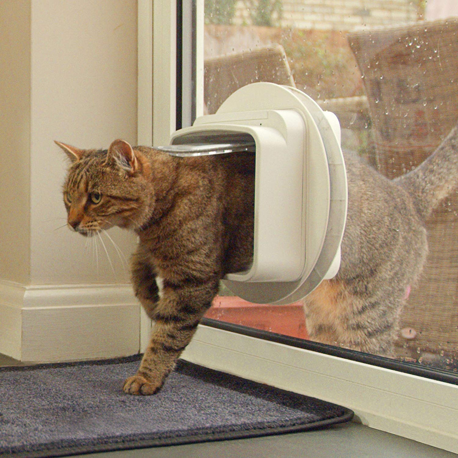SureFlap DualScan Microchip Akıllı Otomatik Kedi Kapısı 27396