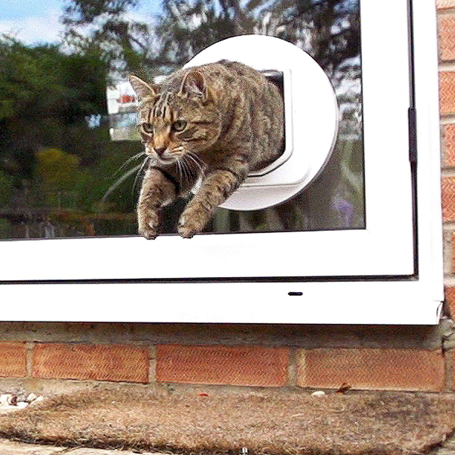 SureFlap DualScan Microchip Akıllı Otomatik Kedi Kapısı 27396